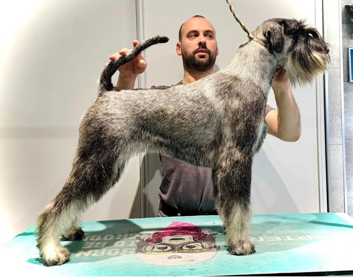 Vertige de l'Amour Domaine De Pierremarie